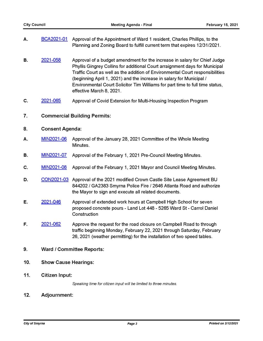 02-15-2021 February 15, 2021 Mayor and Council Meeting Agenda - PRELIMINARY with Attachments_Page_3